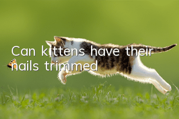 Can kittens have their nails trimmed?