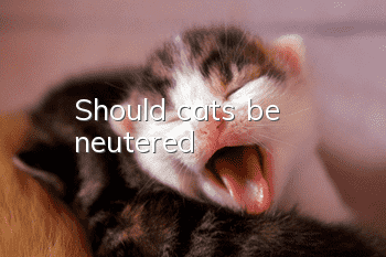 Should cats be neutered?