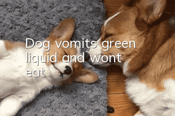 Dog vomits green liquid and won't eat