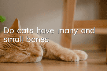 Do cats have many and small bones?