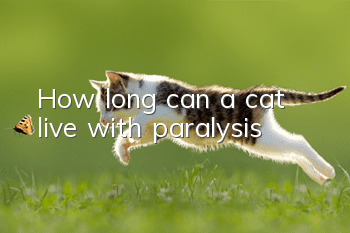 How long can a cat live with paralysis?