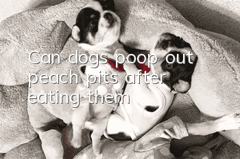 Can dogs poop out peach pits after eating them?
