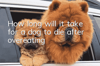 How long will it take for a dog to die after overeating?