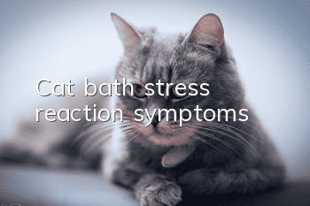 Cat bath stress reaction symptoms