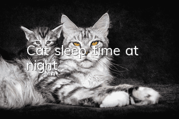 Cat sleep time at night