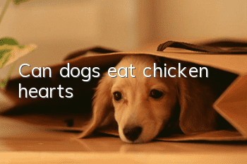 Can dogs eat chicken hearts?