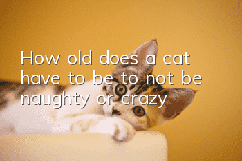 How old does a cat have to be to not be naughty or crazy?