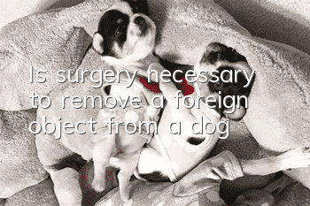 Is surgery necessary to remove a foreign object from a dog?