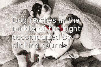 Dog retches in the middle of the night accompanied by clicking sounds