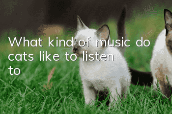 What kind of music do cats like to listen to?