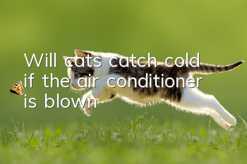 Will cats catch cold if the air conditioner is blown?