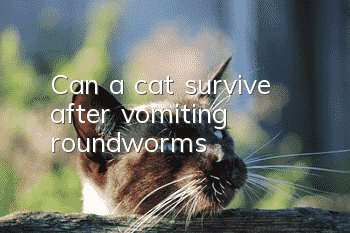 Can a cat survive after vomiting roundworms?