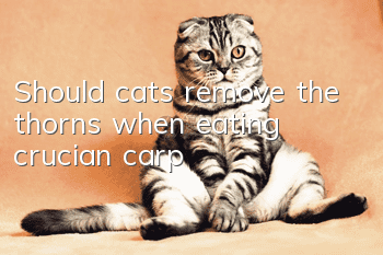 Should cats remove the thorns when eating crucian carp?