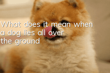 What does it mean when a dog lies all over the ground?