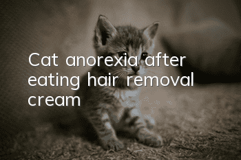 Cat anorexia after eating hair removal cream