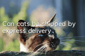 Can cats be shipped by express delivery?