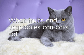What fruits and vegetables can cats eat?