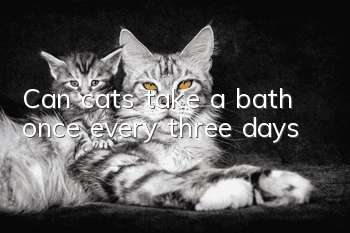 Can cats take a bath once every three days?