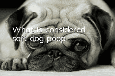 What is considered soft dog poop?