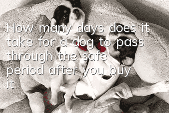 How many days does it take for a dog to pass through the safe period after you buy it?