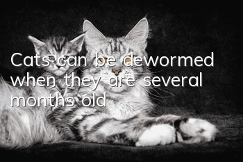 Cats can be dewormed when they are several months old
