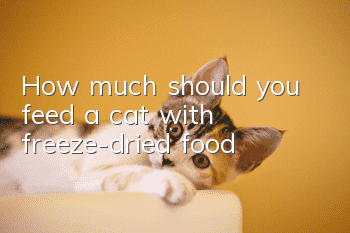 How much should you feed a cat with freeze-dried food?