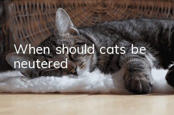 When should cats be neutered?