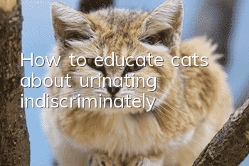 How to educate cats about urinating indiscriminately