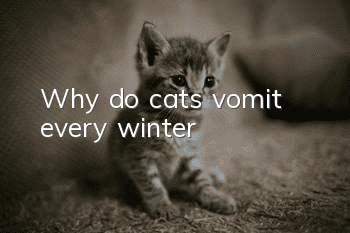 Why do cats vomit every winter?