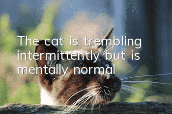 The cat is trembling intermittently but is mentally normal