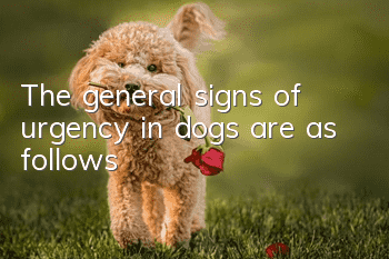 The general signs of urgency in dogs are as follows: