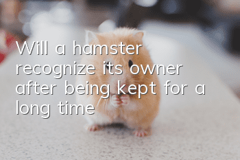 Will a hamster recognize its owner after being kept for a long time?