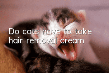 Do cats have to take hair removal cream?