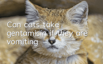 Can cats take gentamicin if they are vomiting?