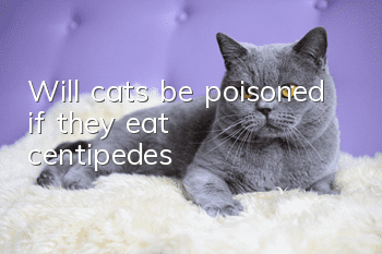 Will cats be poisoned if they eat centipedes?