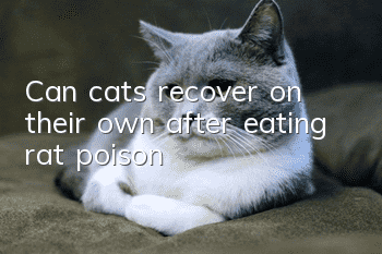 Can cats recover on their own after eating rat poison?