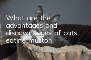 What are the advantages and disadvantages of cats eating mutton?