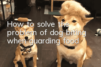 How to solve the problem of dog biting when guarding food