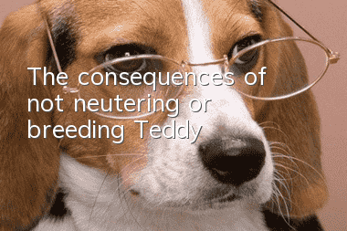 The consequences of not neutering or breeding Teddy