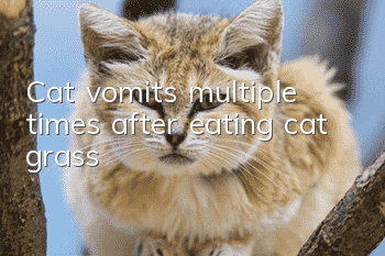Cat vomits multiple times after eating cat grass