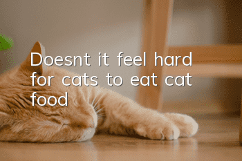 Doesn’t it feel hard for cats to eat cat food?