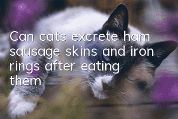 Can cats excrete ham sausage skins and iron rings after eating them?