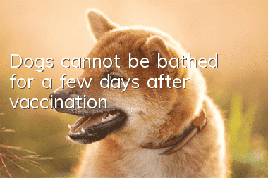 Dogs cannot be bathed for a few days after vaccination