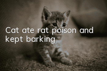 Cat ate rat poison and kept barking