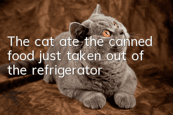 The cat ate the canned food just taken out of the refrigerator