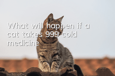 What will happen if a cat takes 999 cold medicine?