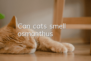 Can cats smell osmanthus?