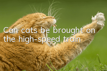 Can cats be brought on the high-speed train?