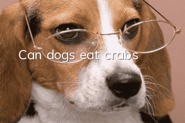 Can dogs eat crabs?