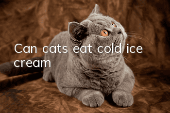 Can cats eat cold ice cream?